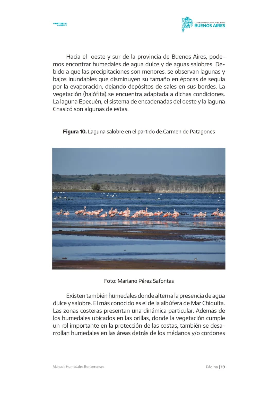 Manual
X X X X X
Humedales
Bonaerenses
MINISTERIO DE
AMBIENTE
GOBIERNO DE LA
PROVINCIA DE
BUENOS
AIRES AUTORIDADES
Gobernador de la provinc