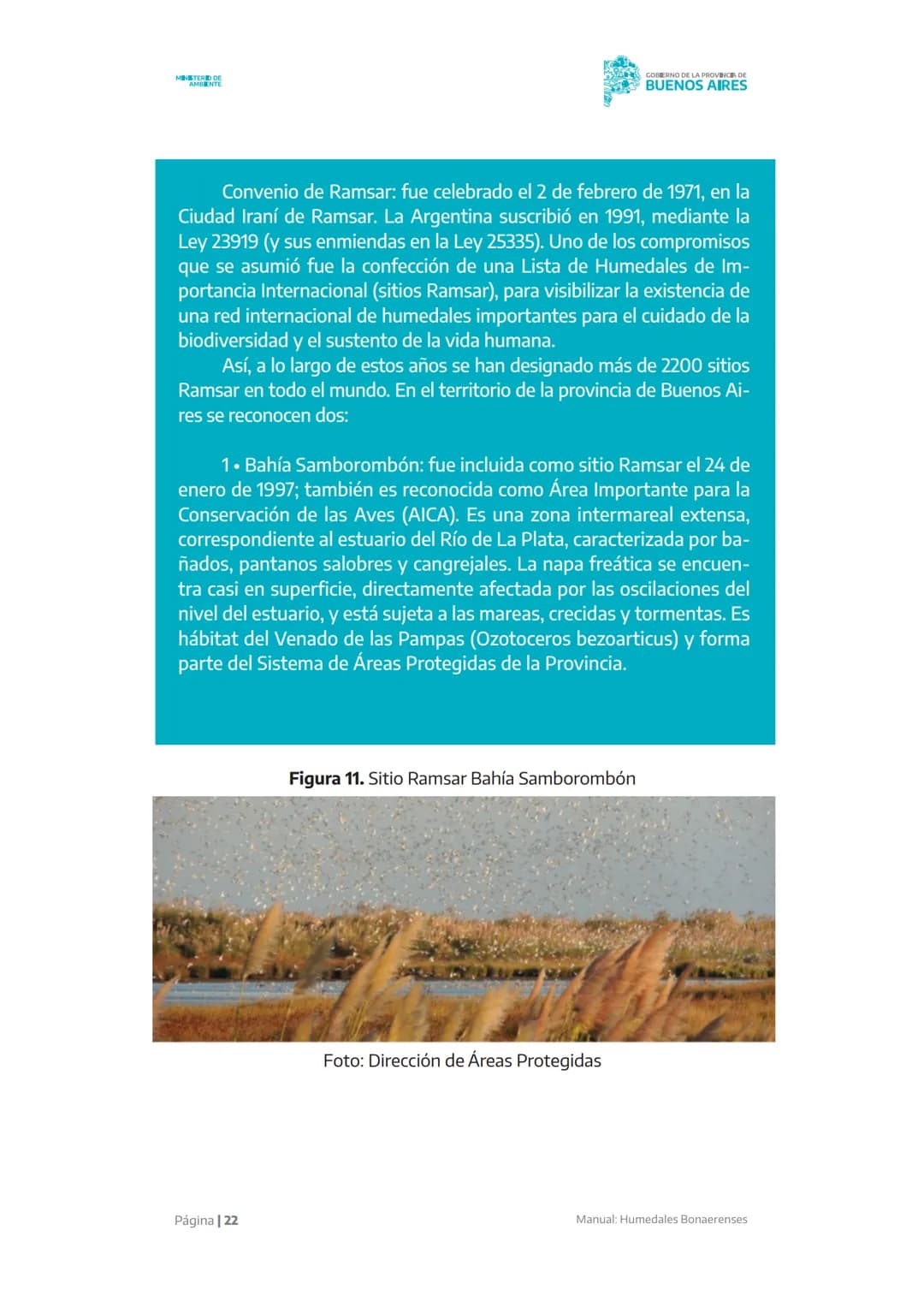 Manual
X X X X X
Humedales
Bonaerenses
MINISTERIO DE
AMBIENTE
GOBIERNO DE LA
PROVINCIA DE
BUENOS
AIRES AUTORIDADES
Gobernador de la provinc