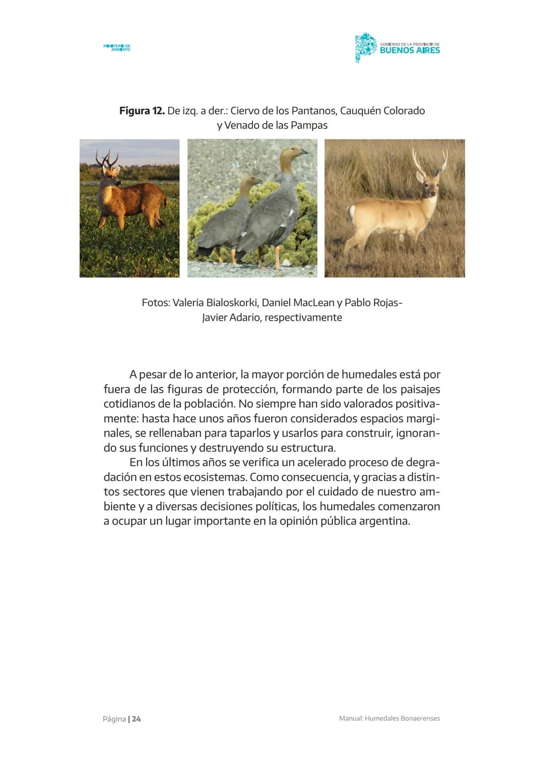 Manual
X X X X X
Humedales
Bonaerenses
MINISTERIO DE
AMBIENTE
GOBIERNO DE LA
PROVINCIA DE
BUENOS
AIRES AUTORIDADES
Gobernador de la provinc