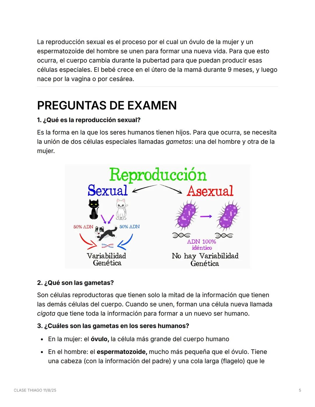 CLASE THIAGO 11/8/25
🌱 La reproducción sexual y el cuerpo humano
Los seres humanos tienen dos tipos de cuerpos para reproducirse: el cuer