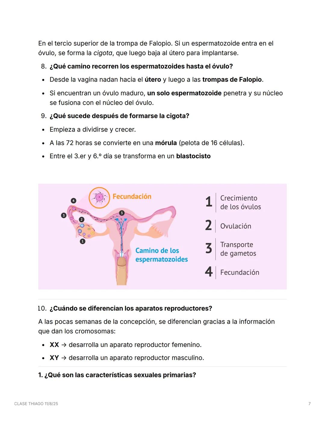 CLASE THIAGO 11/8/25
🌱 La reproducción sexual y el cuerpo humano
Los seres humanos tienen dos tipos de cuerpos para reproducirse: el cuer