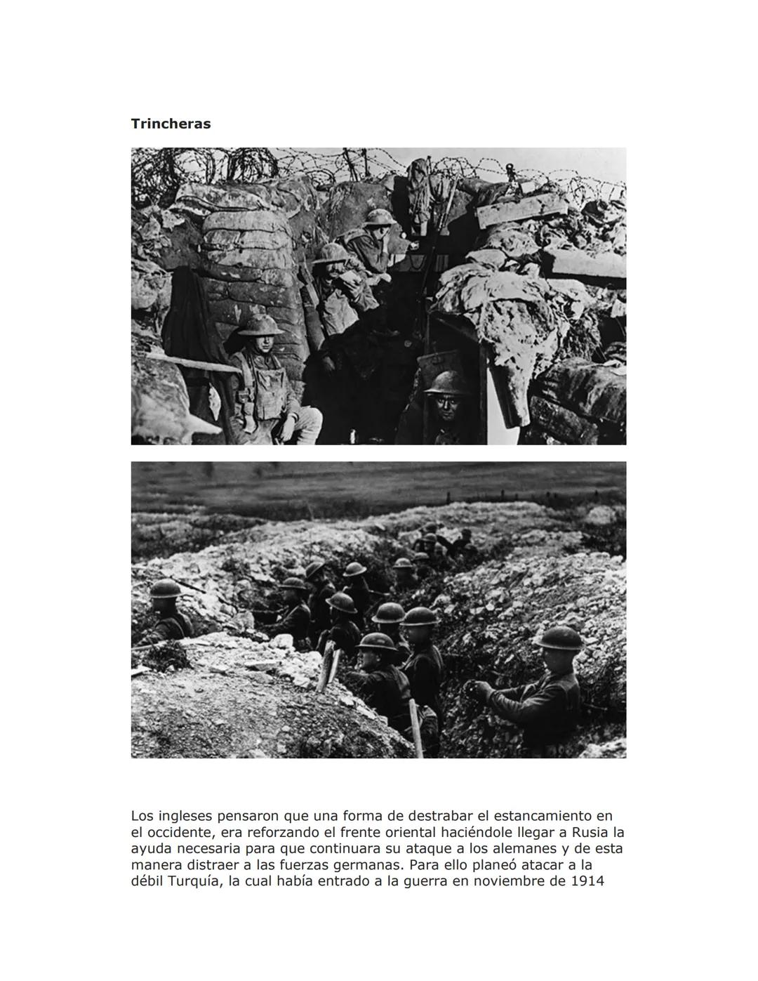 La Gran Guerra
Una de las principales causas fue la rivalidad comercial entre las
principales potencias europeas, en particular entre Inglat