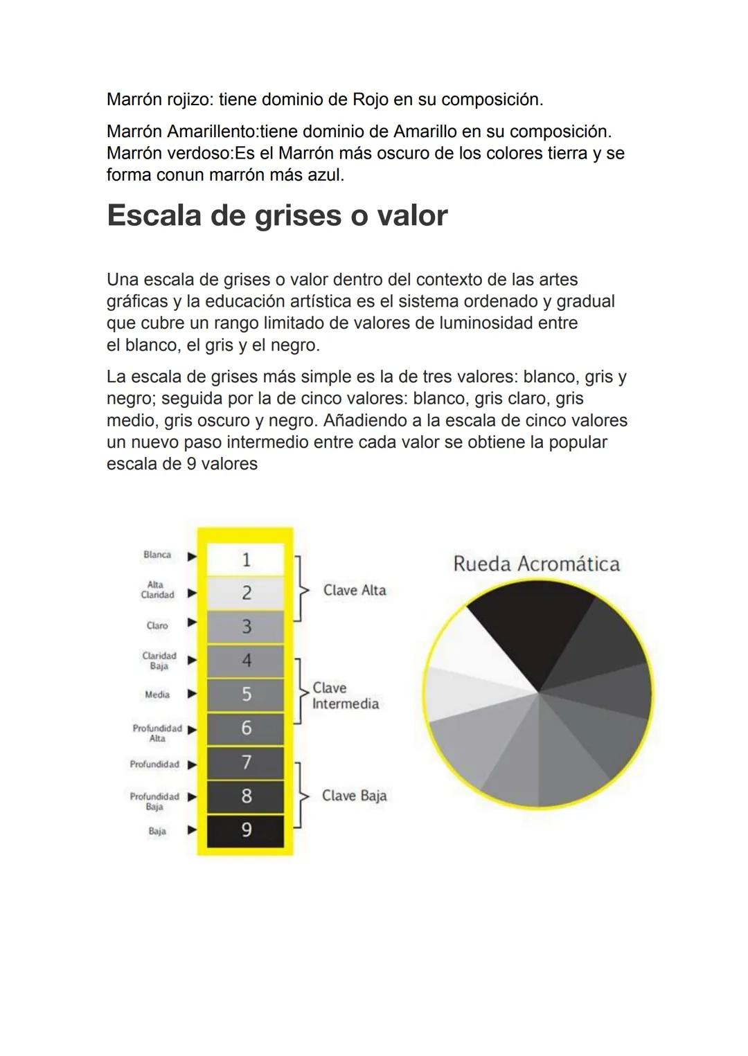 # TEORIA DEL COLOR
# IMPORTANCIA DEL COLOR:
La presencia del color en todos los aspectos de nuestras vidas es sumamente central. Así, el c
