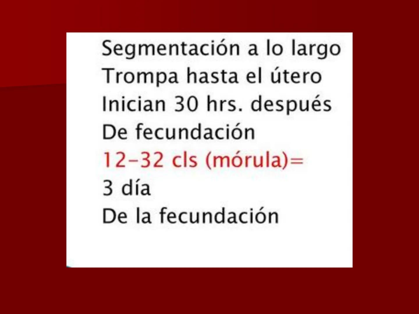 # Desarrollo embrionario
BIOLOG
3° A
ÑO DESARROLLO EMBRIONARIO
- EL DESARROLLO EMBRIONARIO
COMIENZA CON LA CÉLULA HUEVO O
CIGOTO Y TRANSC