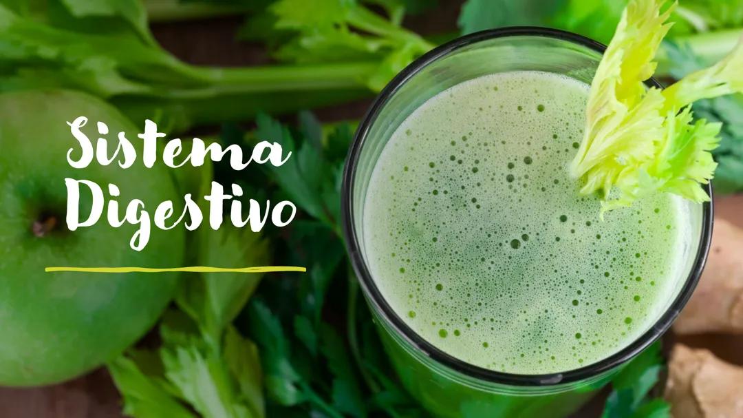 Sistema digestivo