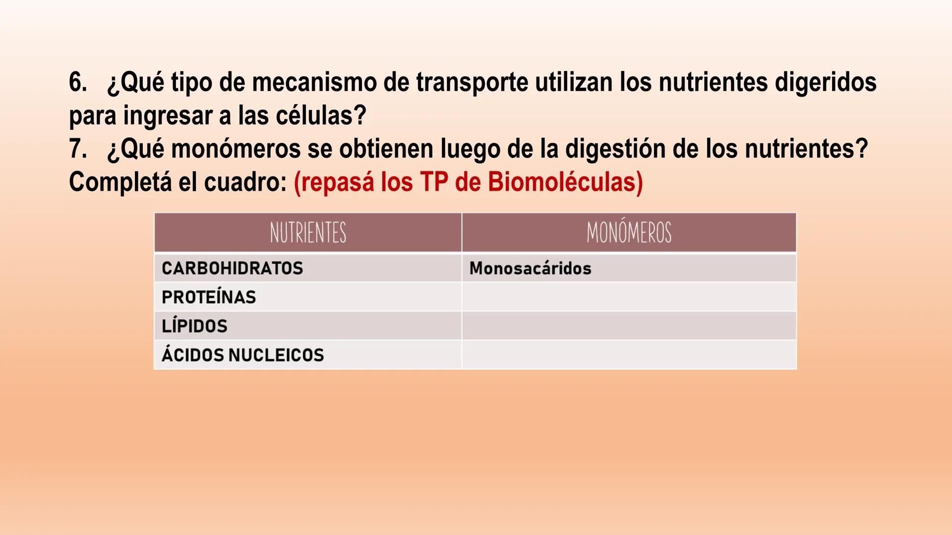 # Sistema Digestivo Los alimentos
Alimento es todo aquel producto que comemos o bebemos y que aporta nutrientes a nuestras células. Ejemplos