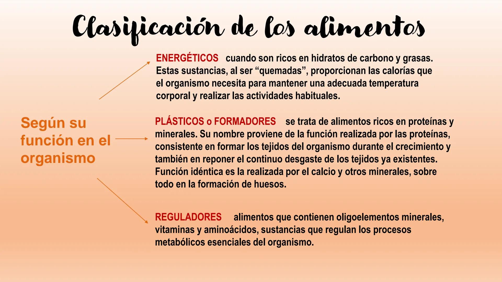 # Sistema Digestivo Los alimentos
Alimento es todo aquel producto que comemos o bebemos y que aporta nutrientes a nuestras células. Ejemplos