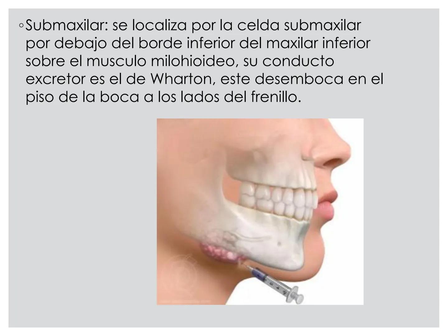 # CIRUGIA DE CABEZA-CUELLO
Y
MAXILOFACIAL • ¿Qué es la cirugía de cabeza y cuello? Como su
nombre lo indica, el servicio médico de Cirugía