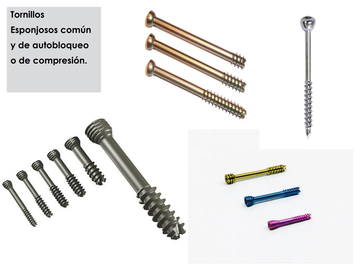 # CIRUGIA DE CABEZA-CUELLO
Y
MAXILOFACIAL • ¿Qué es la cirugía de cabeza y cuello? Como su
nombre lo indica, el servicio médico de Cirugía