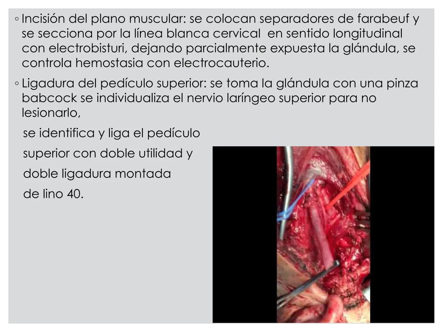 # CIRUGIA DE CABEZA-CUELLO
Y
MAXILOFACIAL • ¿Qué es la cirugía de cabeza y cuello? Como su
nombre lo indica, el servicio médico de Cirugía