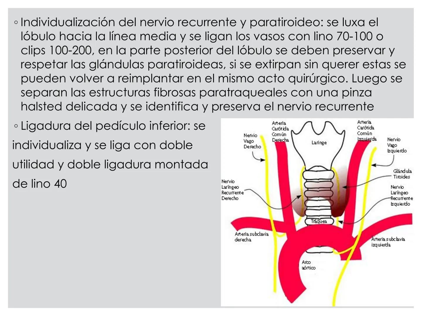# CIRUGIA DE CABEZA-CUELLO
Y
MAXILOFACIAL • ¿Qué es la cirugía de cabeza y cuello? Como su
nombre lo indica, el servicio médico de Cirugía
