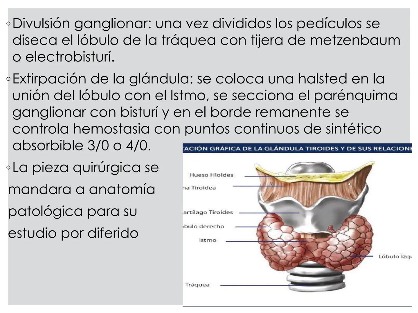 # CIRUGIA DE CABEZA-CUELLO
Y
MAXILOFACIAL • ¿Qué es la cirugía de cabeza y cuello? Como su
nombre lo indica, el servicio médico de Cirugía