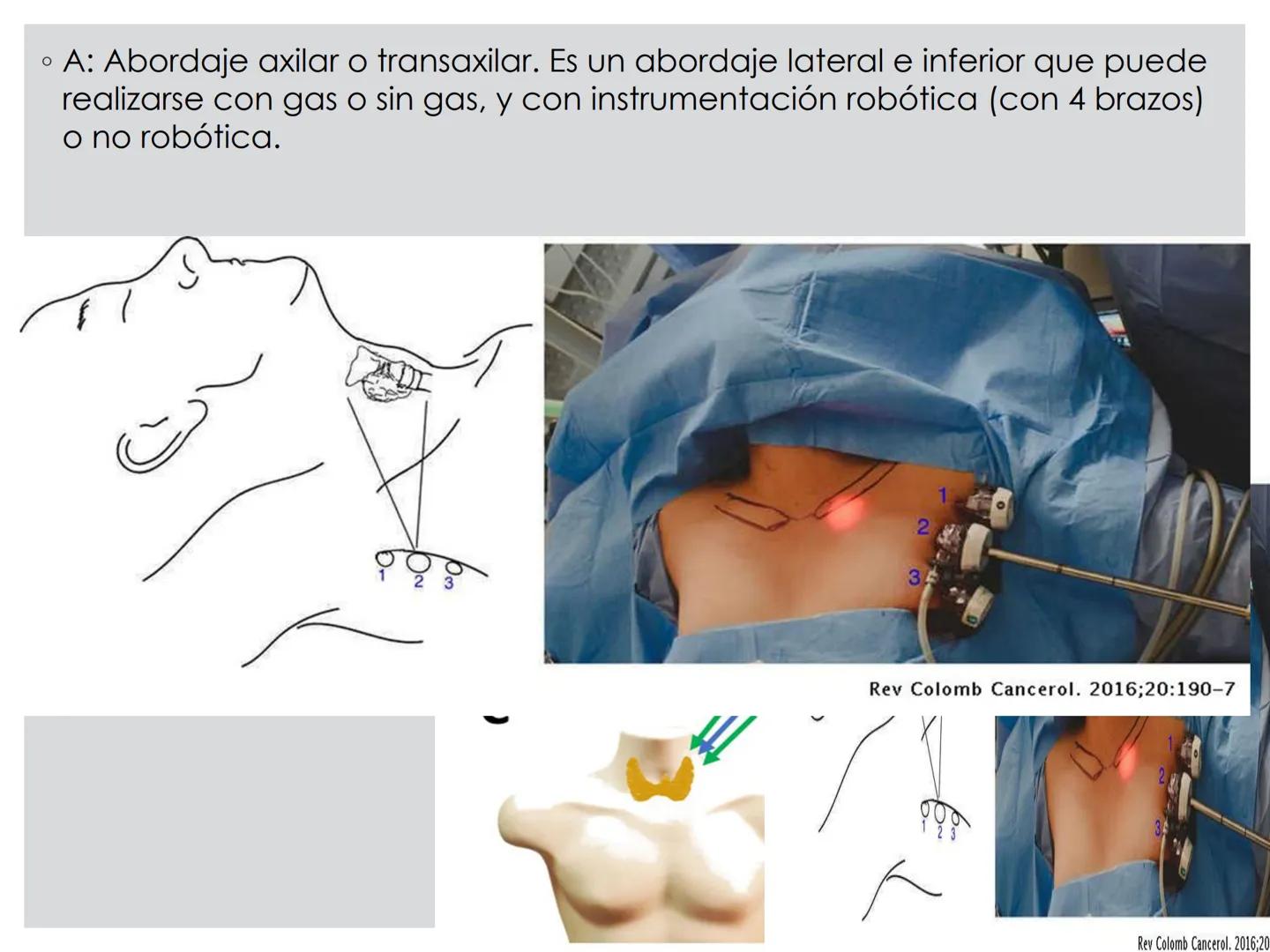# CIRUGIA DE CABEZA-CUELLO
Y
MAXILOFACIAL • ¿Qué es la cirugía de cabeza y cuello? Como su
nombre lo indica, el servicio médico de Cirugía