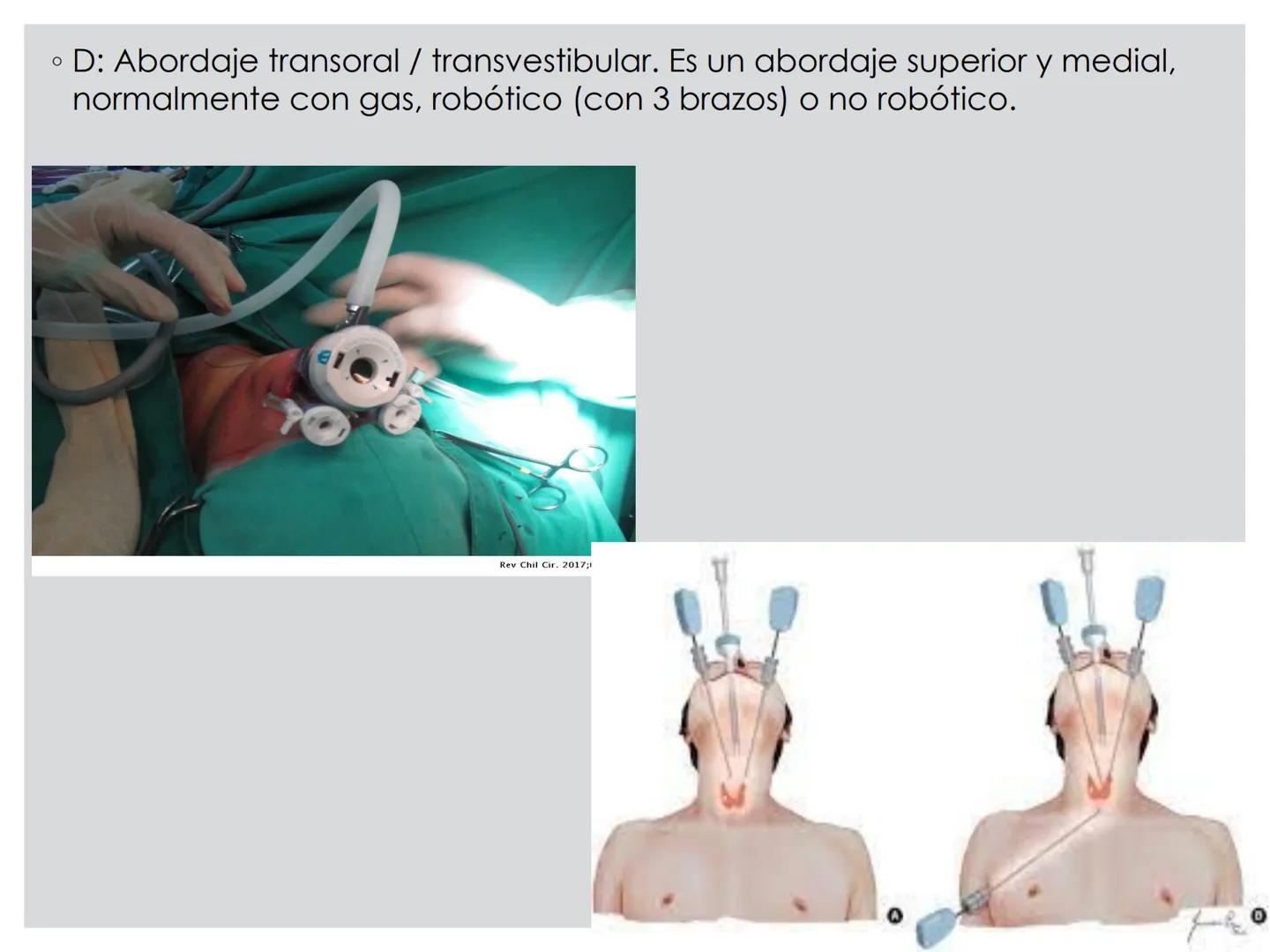 # CIRUGIA DE CABEZA-CUELLO
Y
MAXILOFACIAL • ¿Qué es la cirugía de cabeza y cuello? Como su
nombre lo indica, el servicio médico de Cirugía
