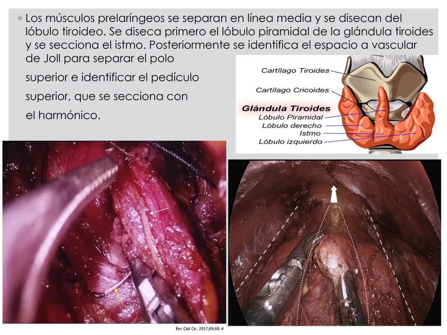 # CIRUGIA DE CABEZA-CUELLO
Y
MAXILOFACIAL • ¿Qué es la cirugía de cabeza y cuello? Como su
nombre lo indica, el servicio médico de Cirugía