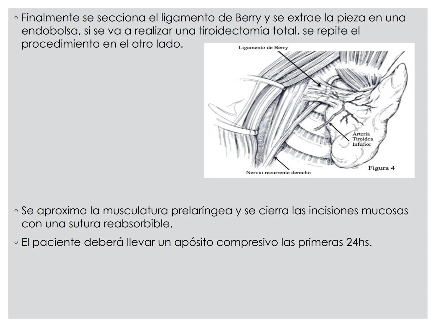 # CIRUGIA DE CABEZA-CUELLO
Y
MAXILOFACIAL • ¿Qué es la cirugía de cabeza y cuello? Como su
nombre lo indica, el servicio médico de Cirugía