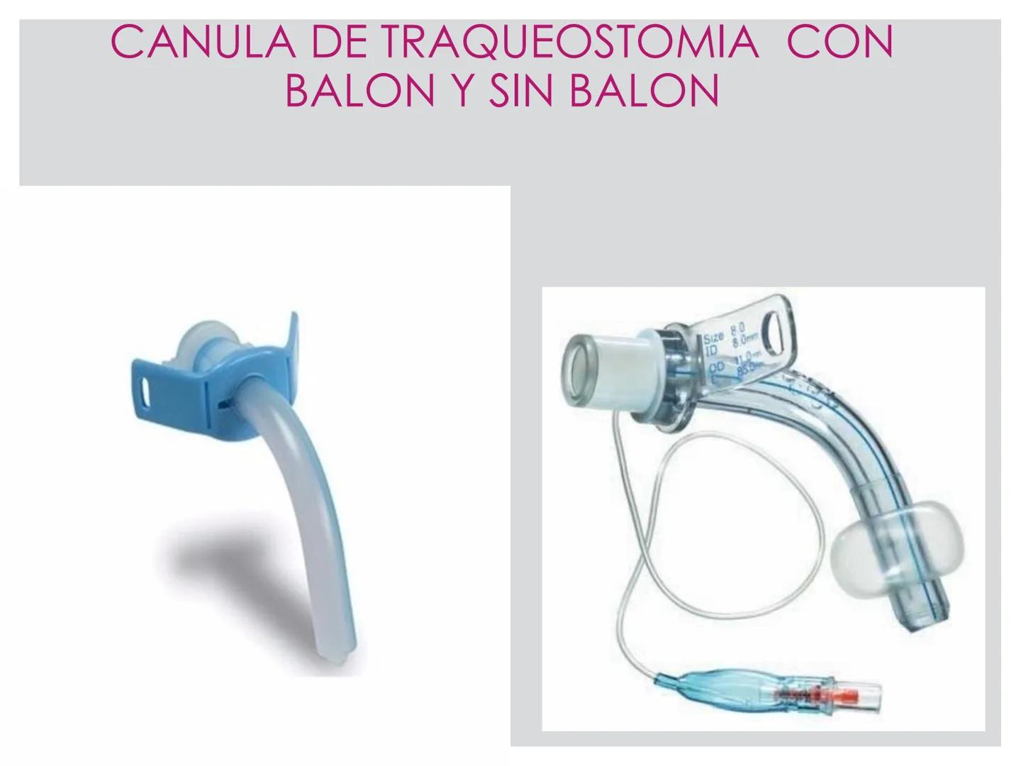 # CIRUGIA DE CABEZA-CUELLO
Y
MAXILOFACIAL • ¿Qué es la cirugía de cabeza y cuello? Como su
nombre lo indica, el servicio médico de Cirugía