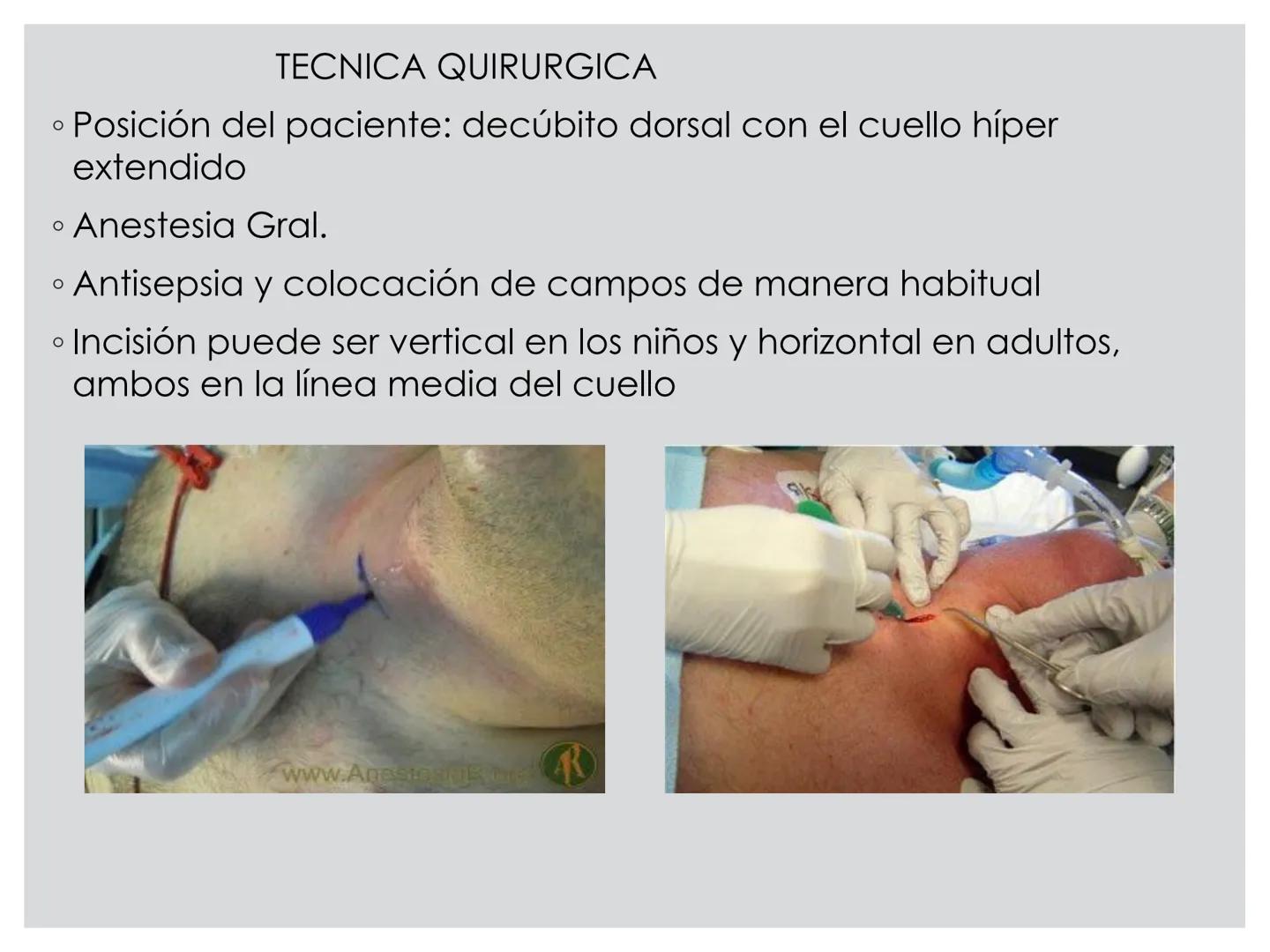 # CIRUGIA DE CABEZA-CUELLO
Y
MAXILOFACIAL • ¿Qué es la cirugía de cabeza y cuello? Como su
nombre lo indica, el servicio médico de Cirugía