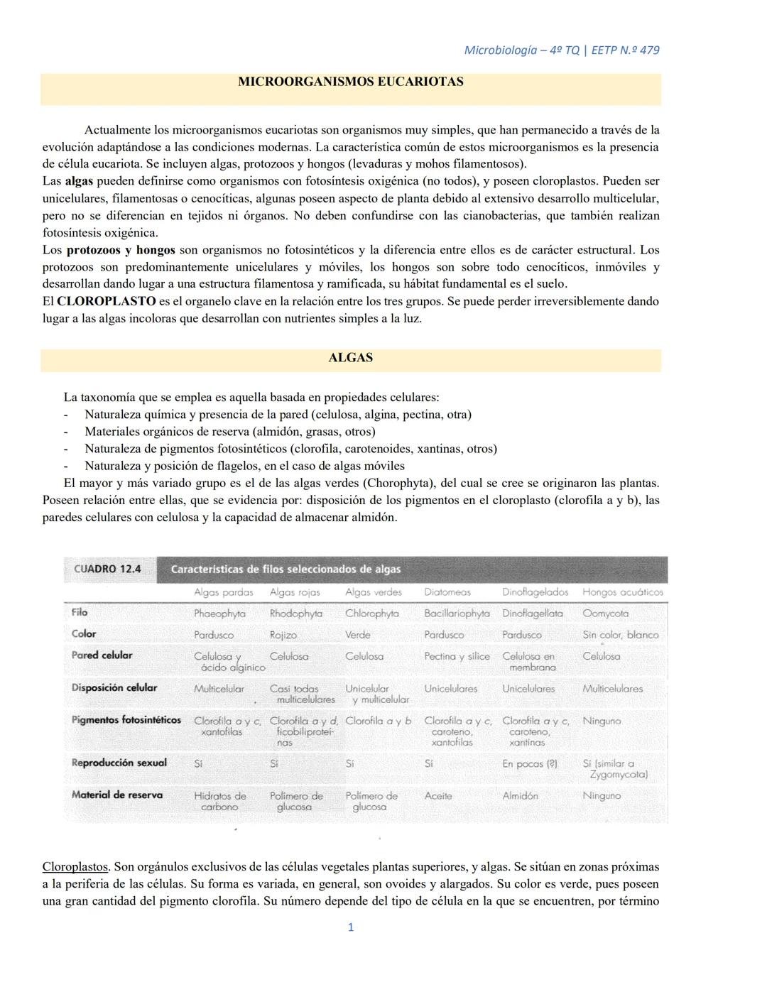 ## MICROORGANISMOS EUCARIOTAS
Microbiología – 4º TQ | ΕΕΤP N.º 479
Actualmente los microorganismos eucariotas son organismos muy simples, q