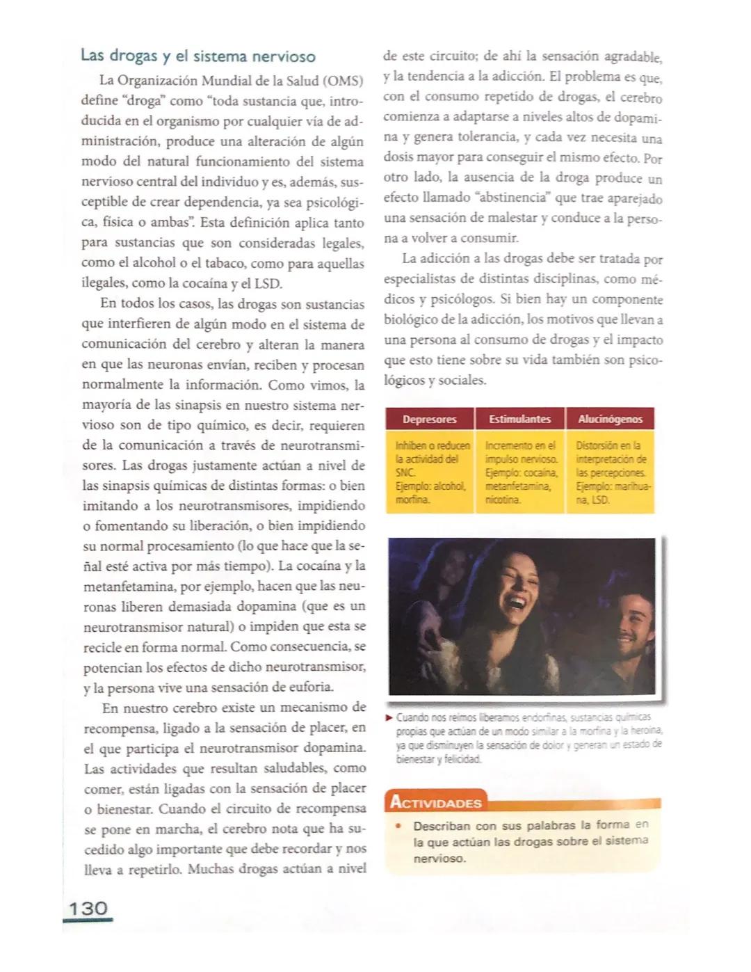 # El sistema nervioso en los seres
humanos
Al igual que el resto de los vertebrados, es
posible distinguir dos grandes zonas en el sis
tema