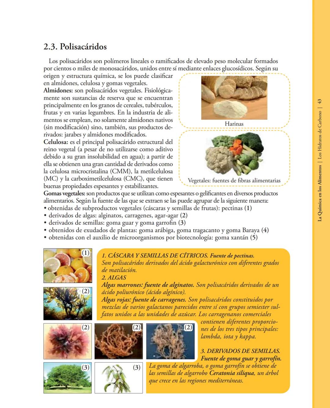 # 2. LOS HIDRATOS DE CARBOΝΟ
2.1. Introducción
Los hidratos de carbono o carbohidratos son moléculas orgánicas formadas por carbono,
hidró