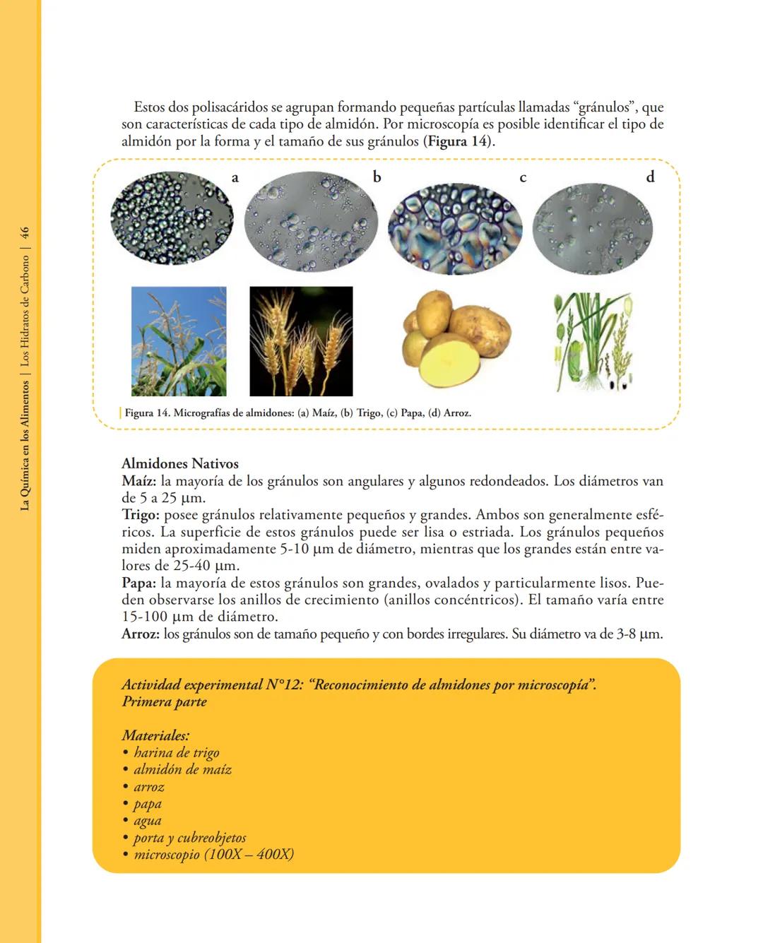 # 2. LOS HIDRATOS DE CARBOΝΟ
2.1. Introducción
Los hidratos de carbono o carbohidratos son moléculas orgánicas formadas por carbono,
hidró