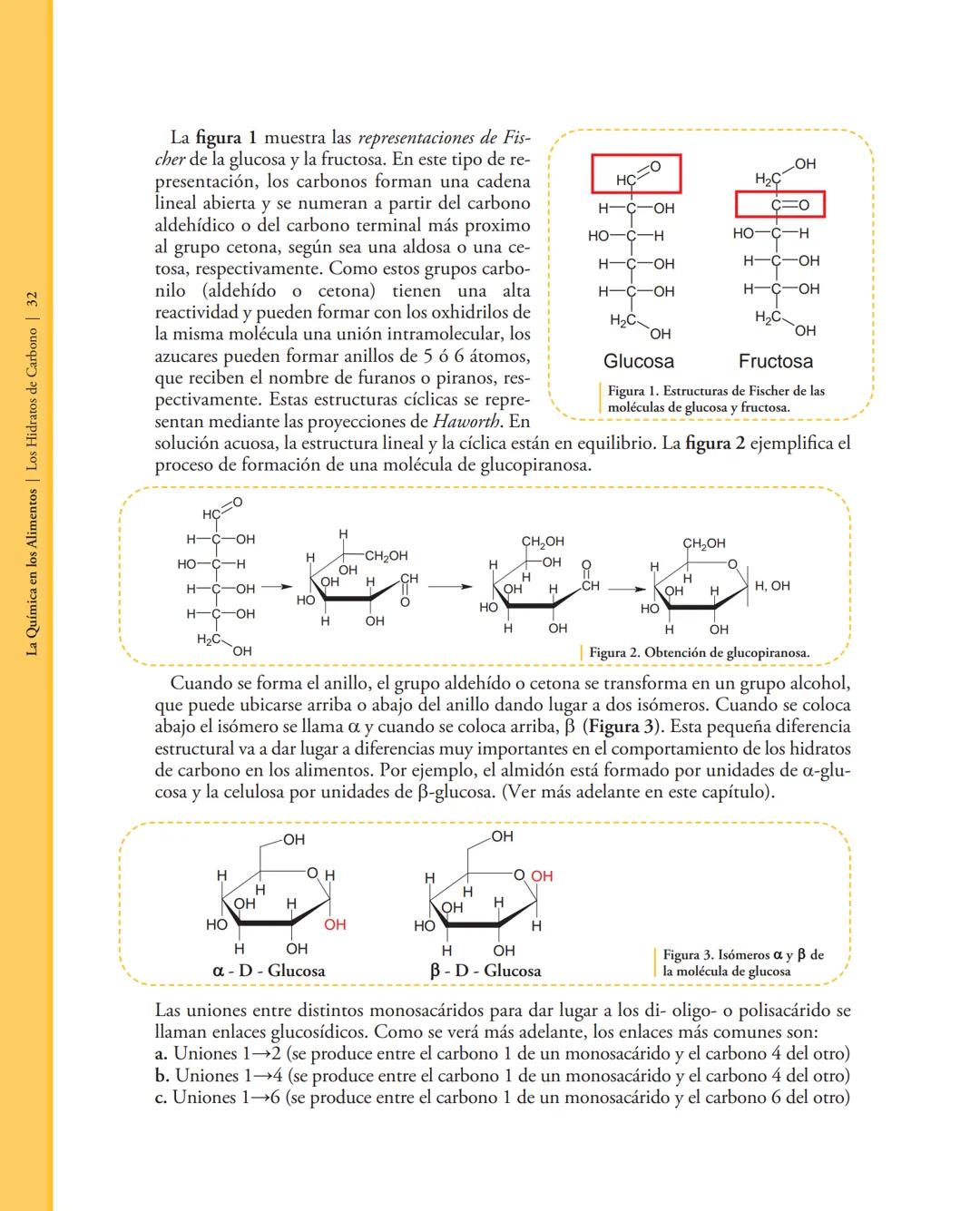 # 2. LOS HIDRATOS DE CARBOΝΟ
2.1. Introducción
Los hidratos de carbono o carbohidratos son moléculas orgánicas formadas por carbono,
hidró