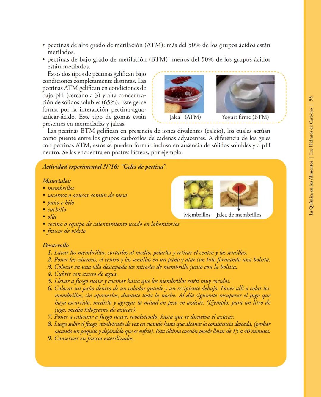 # 2. LOS HIDRATOS DE CARBOΝΟ
2.1. Introducción
Los hidratos de carbono o carbohidratos son moléculas orgánicas formadas por carbono,
hidró