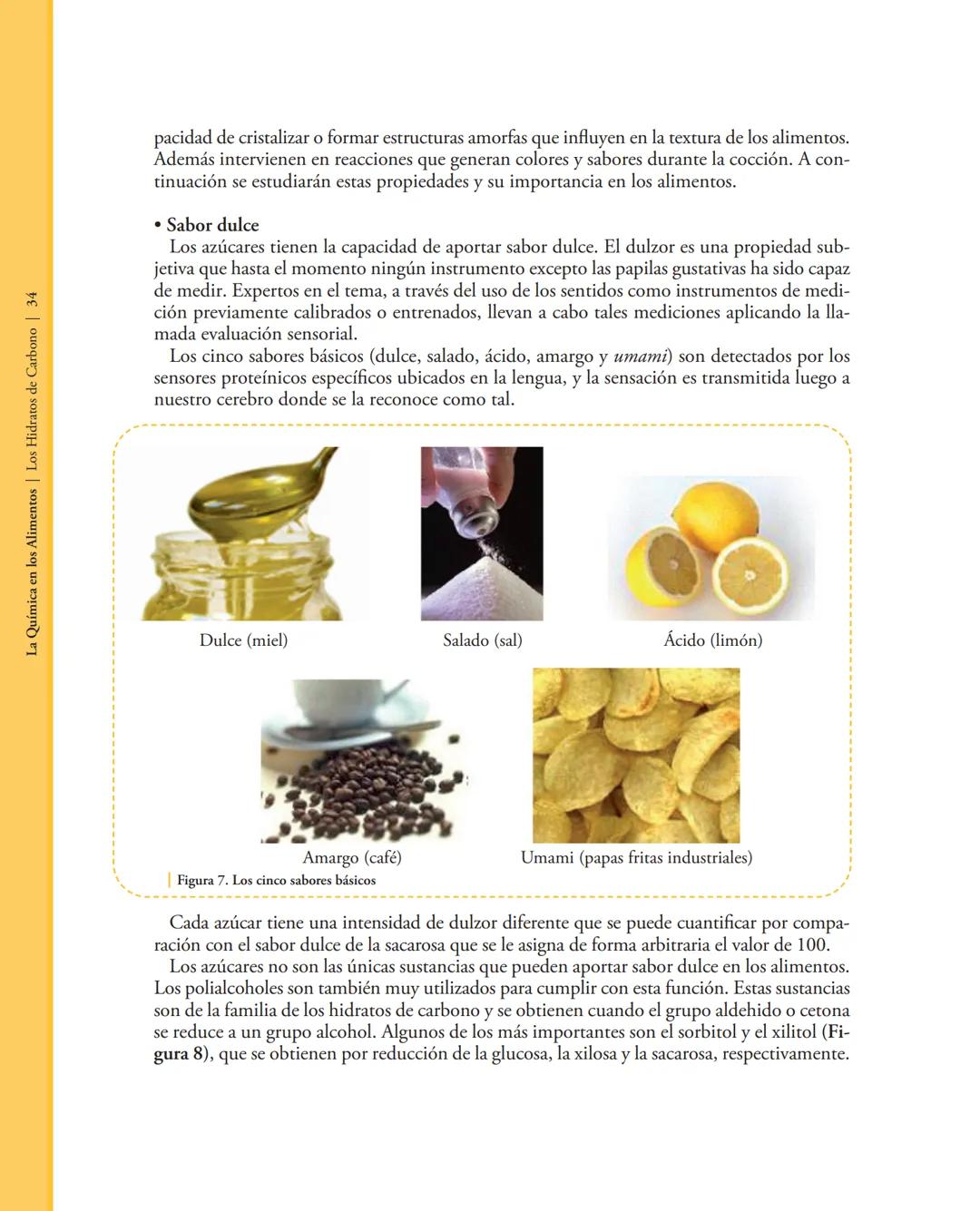 # 2. LOS HIDRATOS DE CARBOΝΟ
2.1. Introducción
Los hidratos de carbono o carbohidratos son moléculas orgánicas formadas por carbono,
hidró