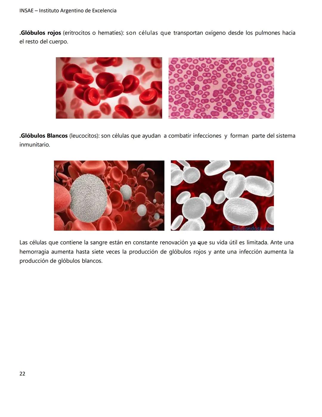 INSAE – Instituto Argentino de Excelencia
# MANUAL DEL CURSO
# EXTRACCIONISTA DE
# LABORATORIO CLINICO
1 INSAE - Instituto Argentino d