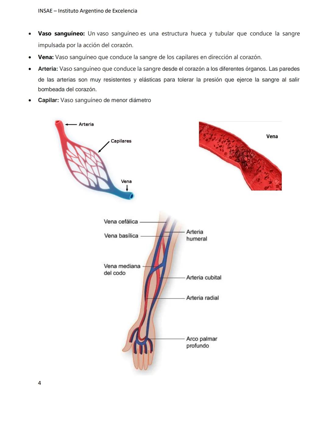 INSAE – Instituto Argentino de Excelencia
# MANUAL DEL CURSO
# EXTRACCIONISTA DE
# LABORATORIO CLINICO
1 INSAE - Instituto Argentino d