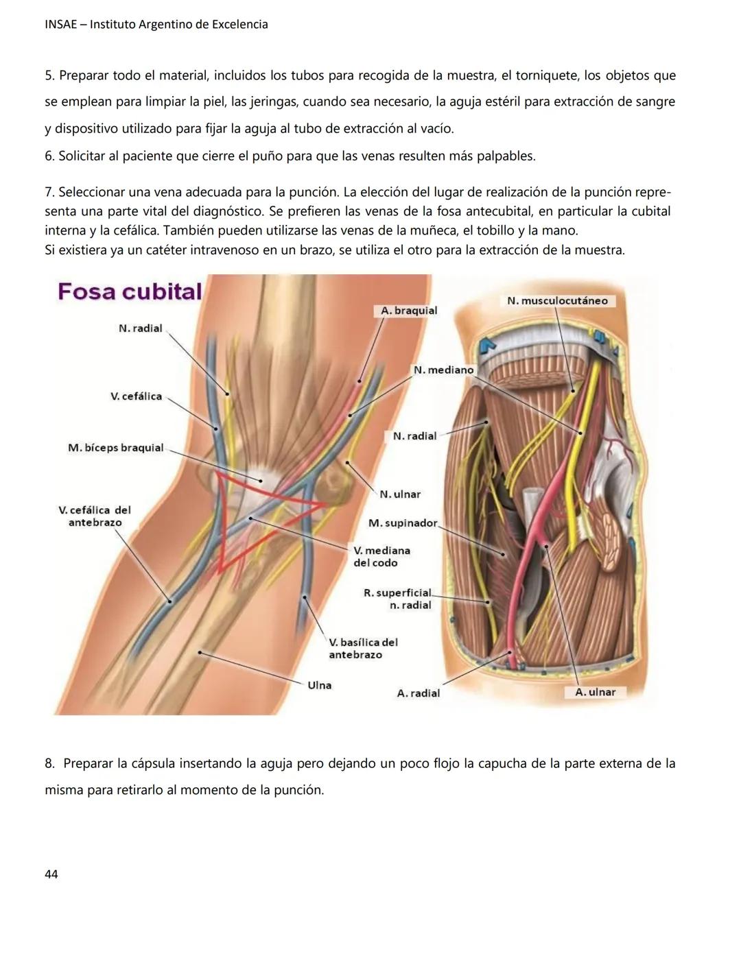 INSAE – Instituto Argentino de Excelencia
# MANUAL DEL CURSO
# EXTRACCIONISTA DE
# LABORATORIO CLINICO
1 INSAE - Instituto Argentino d