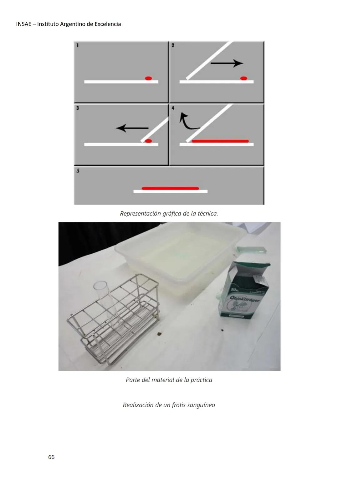 INSAE – Instituto Argentino de Excelencia
# MANUAL DEL CURSO
# EXTRACCIONISTA DE
# LABORATORIO CLINICO
1 INSAE - Instituto Argentino d