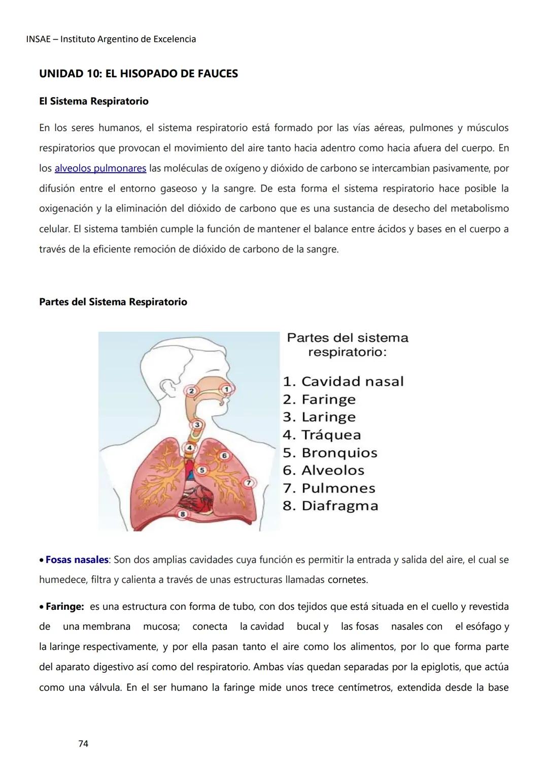 INSAE – Instituto Argentino de Excelencia
# MANUAL DEL CURSO
# EXTRACCIONISTA DE
# LABORATORIO CLINICO
1 INSAE - Instituto Argentino d