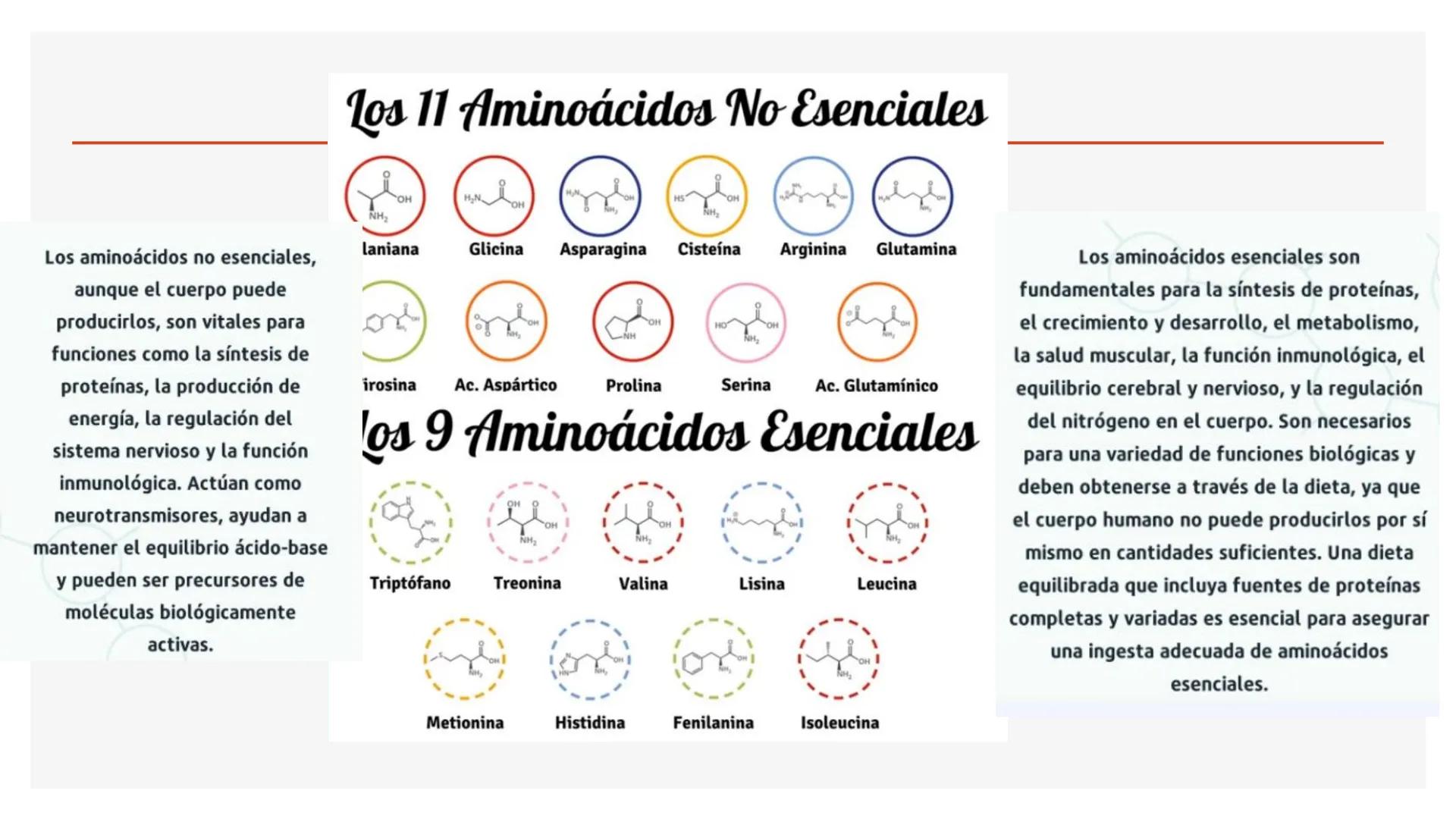 # Metabolismo de Proteínas # DIGESTIÓN DE PROTEÍNAS
Proteínas
con estructura
tridimensional # Proteína en estado nativo
# Polipéptido
# A