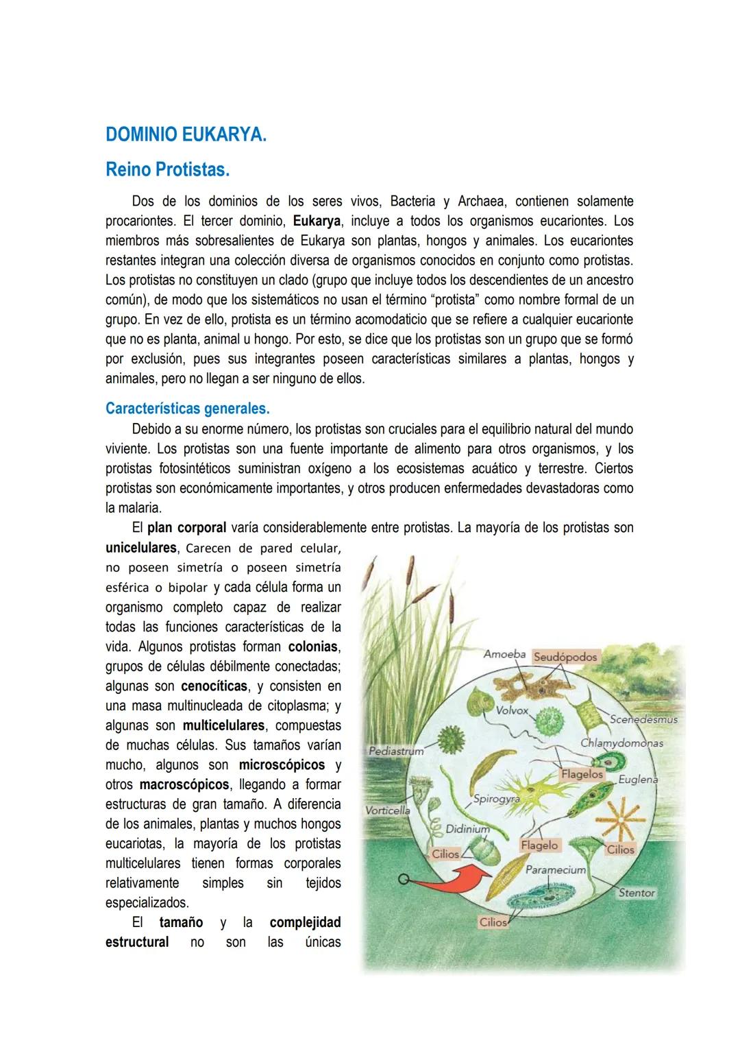 # UNIDAD 4 # DOMINIO ARQUEA y DOMINIO EUBACTERIA: constituidos por
células procariotas.
Los primeros organismos que habitaron la Tierra fue