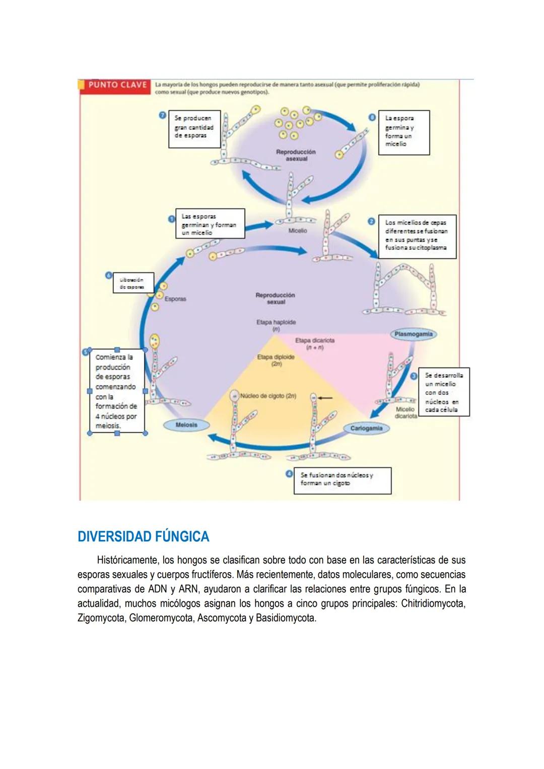 # UNIDAD 4 # DOMINIO ARQUEA y DOMINIO EUBACTERIA: constituidos por
células procariotas.
Los primeros organismos que habitaron la Tierra fue