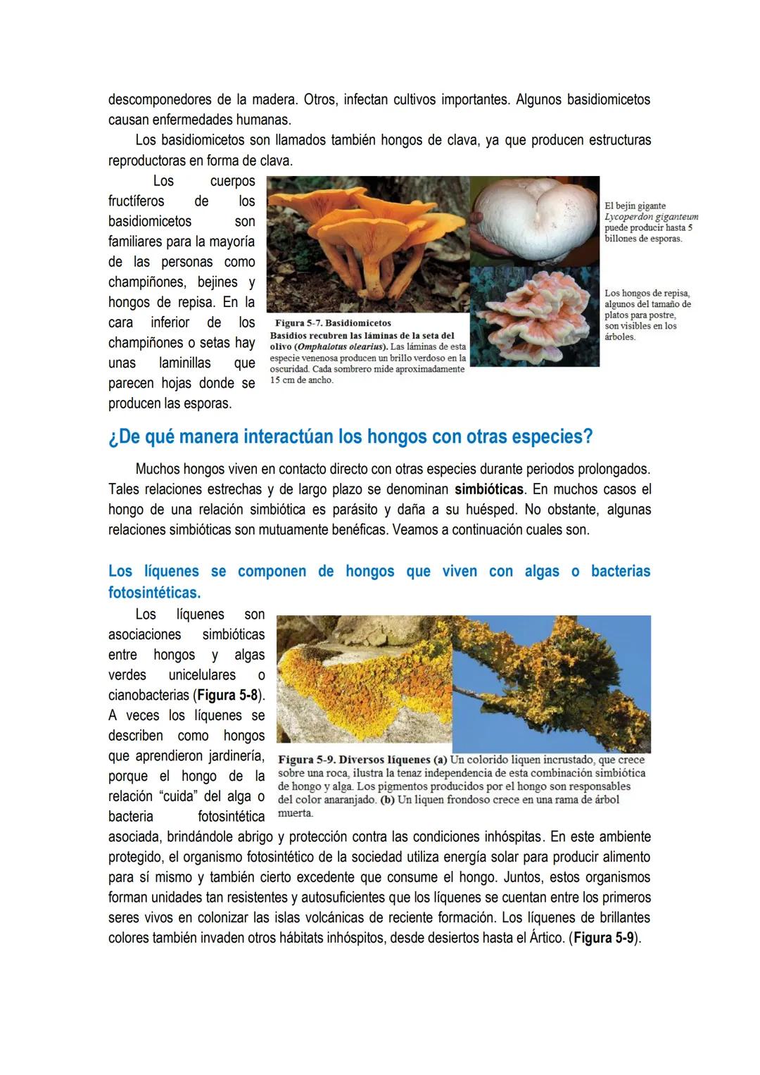 # UNIDAD 4 # DOMINIO ARQUEA y DOMINIO EUBACTERIA: constituidos por
células procariotas.
Los primeros organismos que habitaron la Tierra fue