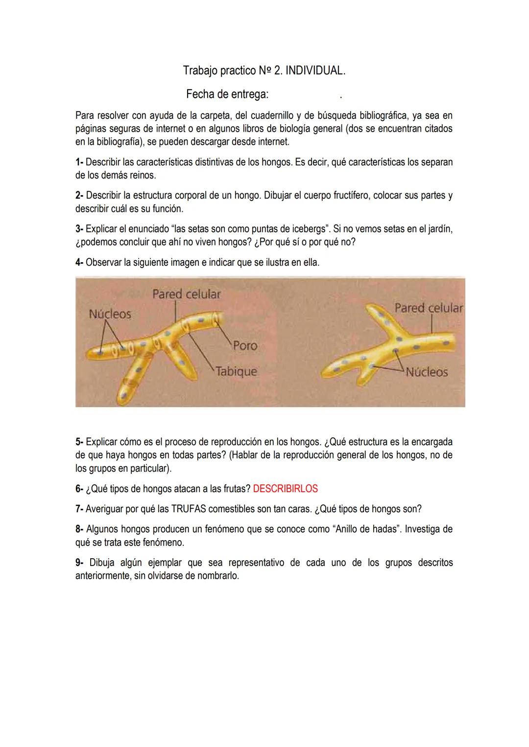 # UNIDAD 4 # DOMINIO ARQUEA y DOMINIO EUBACTERIA: constituidos por
células procariotas.
Los primeros organismos que habitaron la Tierra fue