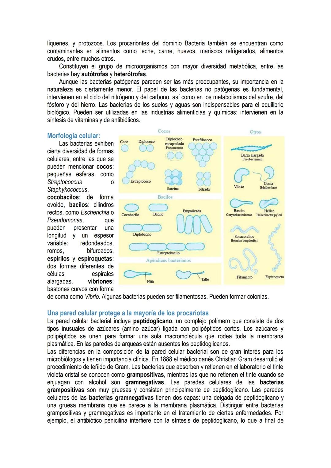# UNIDAD 4 # DOMINIO ARQUEA y DOMINIO EUBACTERIA: constituidos por
células procariotas.
Los primeros organismos que habitaron la Tierra fue