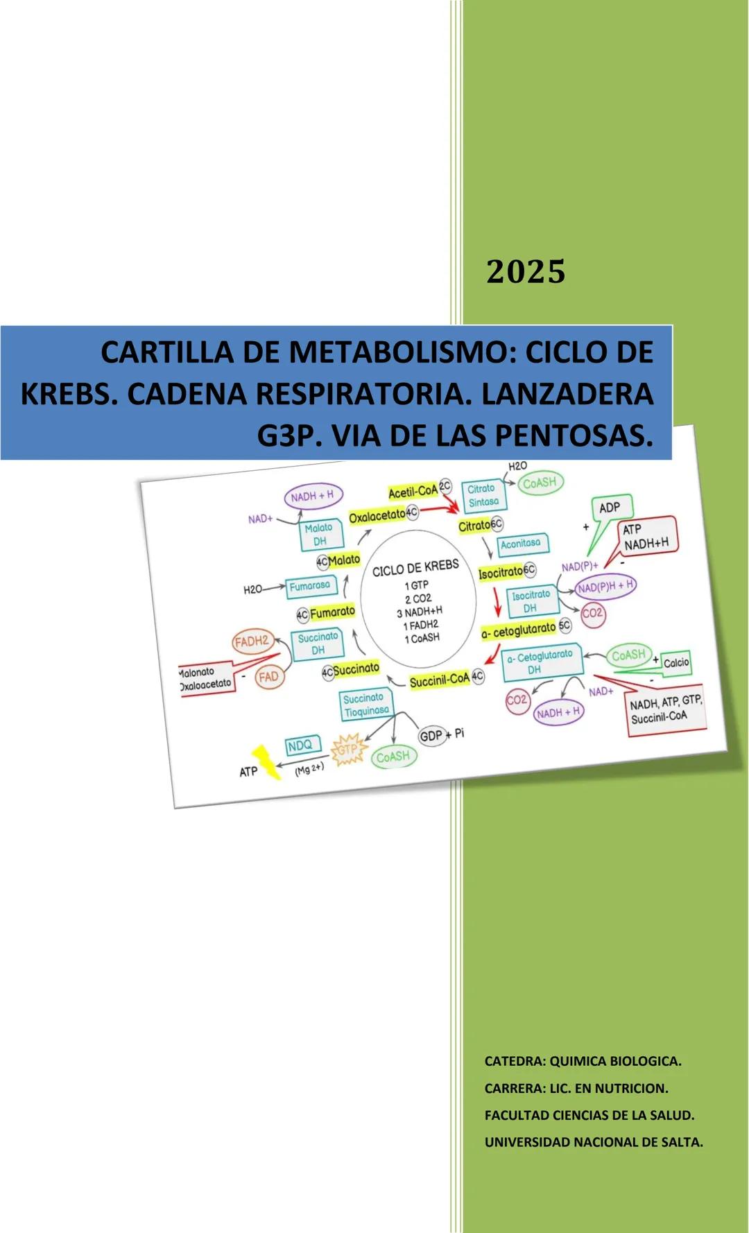 2025
CARTILLA DE METABOLISMO: CICLO DE
KREBS. CADENA RESPIRATORIA. LANZADERA
G3P. VIA DE LAS PENTOSAS.
Acetil-CoA 20 Citrato
H20
NADH+H
CO