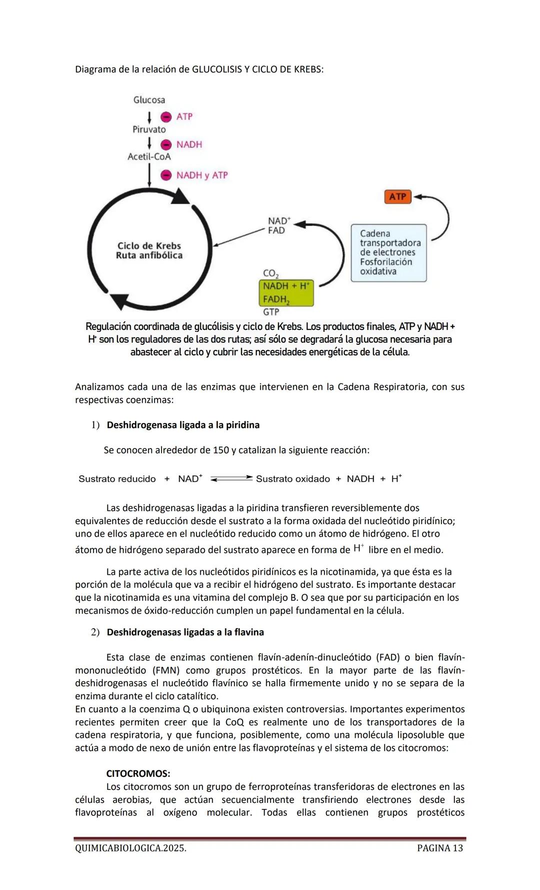 2025
CARTILLA DE METABOLISMO: CICLO DE
KREBS. CADENA RESPIRATORIA. LANZADERA
G3P. VIA DE LAS PENTOSAS.
Acetil-CoA 20 Citrato
H20
NADH+H
CO