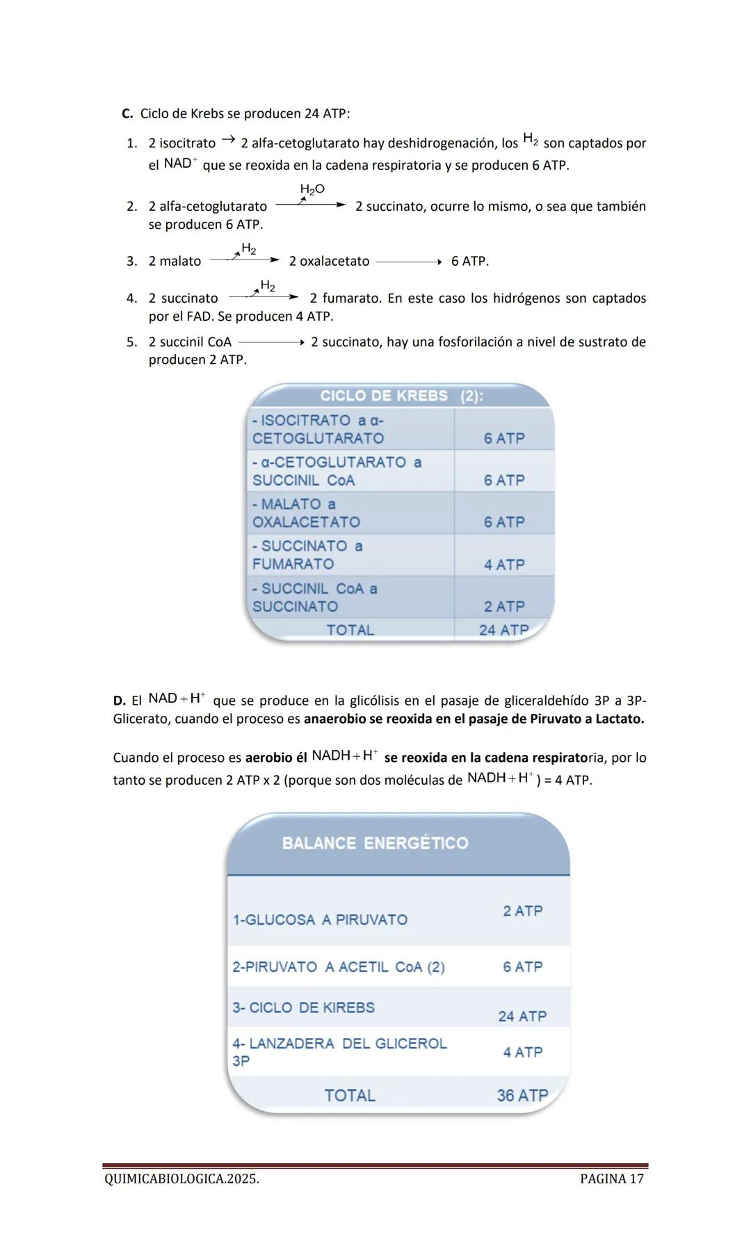 2025
CARTILLA DE METABOLISMO: CICLO DE
KREBS. CADENA RESPIRATORIA. LANZADERA
G3P. VIA DE LAS PENTOSAS.
Acetil-CoA 20 Citrato
H20
NADH+H
CO