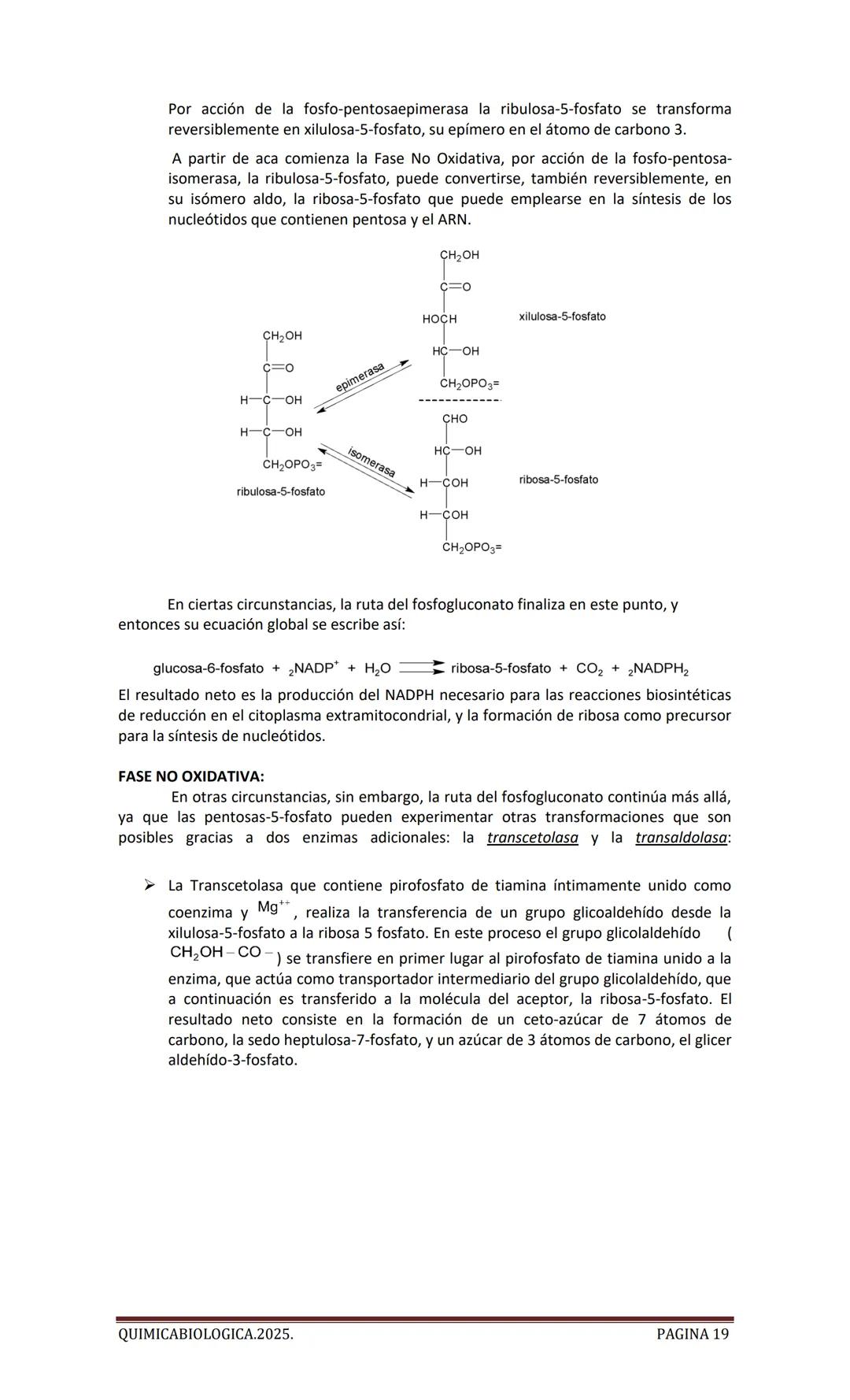 2025
CARTILLA DE METABOLISMO: CICLO DE
KREBS. CADENA RESPIRATORIA. LANZADERA
G3P. VIA DE LAS PENTOSAS.
Acetil-CoA 20 Citrato
H20
NADH+H
CO