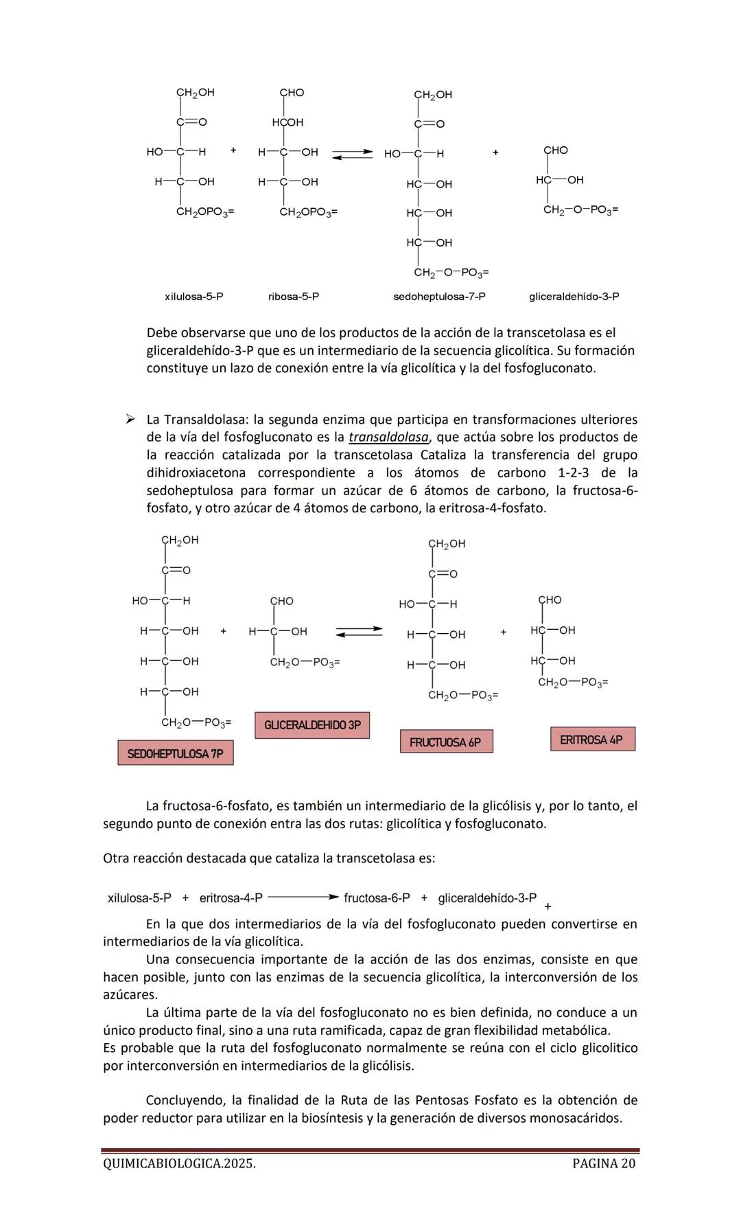 2025
CARTILLA DE METABOLISMO: CICLO DE
KREBS. CADENA RESPIRATORIA. LANZADERA
G3P. VIA DE LAS PENTOSAS.
Acetil-CoA 20 Citrato
H20
NADH+H
CO