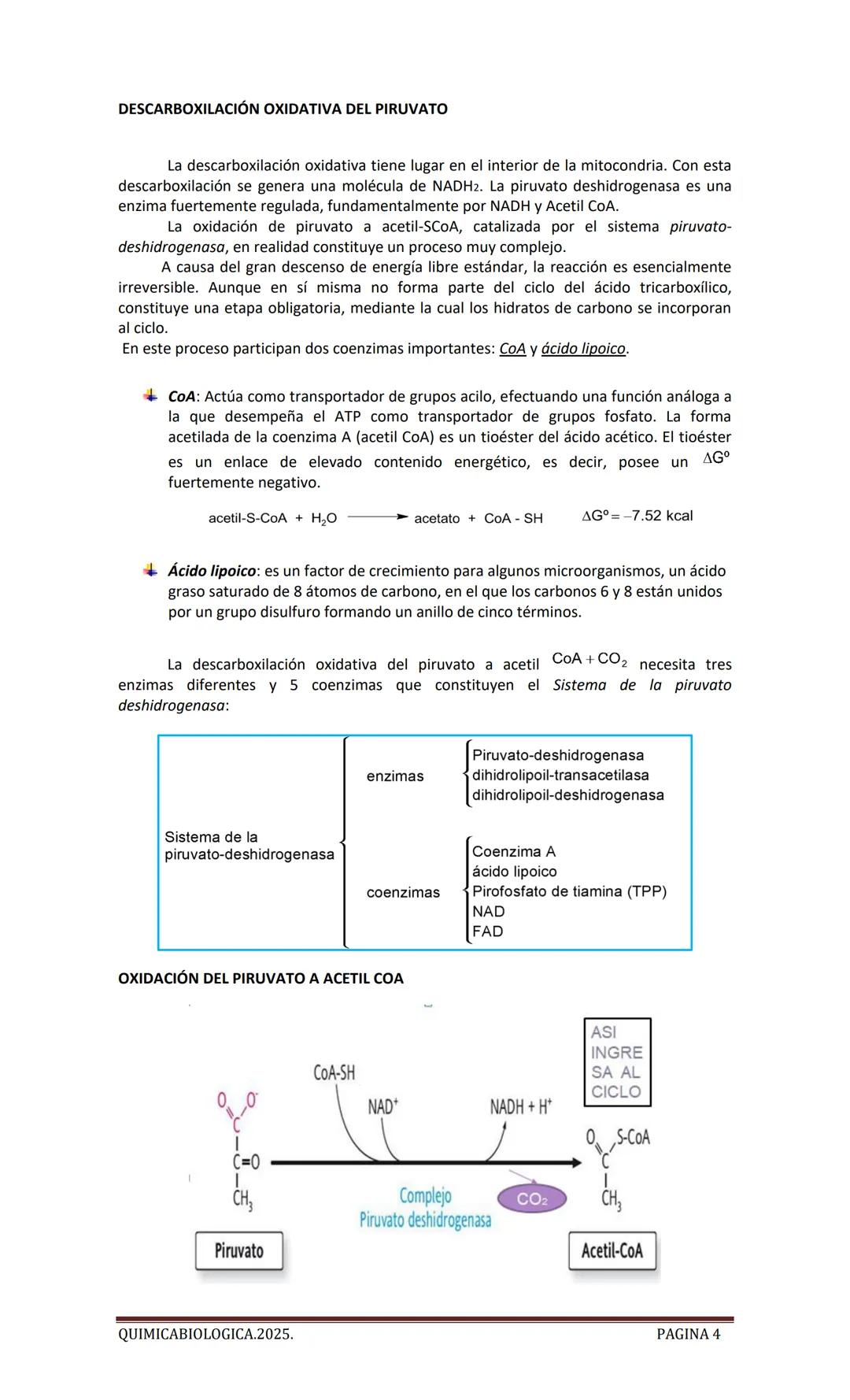 2025
CARTILLA DE METABOLISMO: CICLO DE
KREBS. CADENA RESPIRATORIA. LANZADERA
G3P. VIA DE LAS PENTOSAS.
Acetil-CoA 20 Citrato
H20
NADH+H
CO
