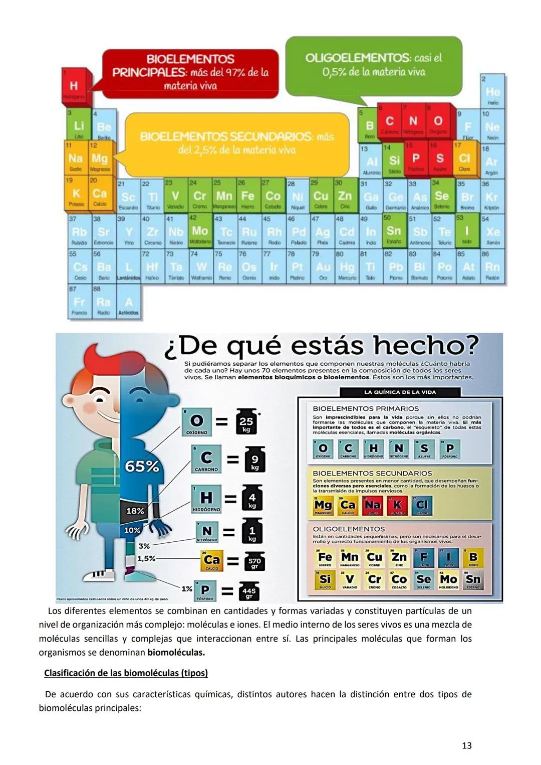 PROGRAMA ANUAL-2024-
ESPACIO CURRICULAR: BIOLOGÍA II
PROFESORA:
CURSO: 4º año DIVISIÓN: CIENCIAS NATURALES
PROGRAMA DE ESTUDIOS DE BIOLO