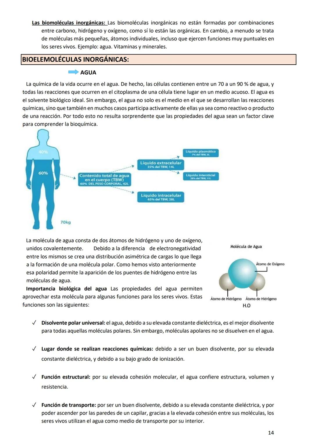PROGRAMA ANUAL-2024-
ESPACIO CURRICULAR: BIOLOGÍA II
PROFESORA:
CURSO: 4º año DIVISIÓN: CIENCIAS NATURALES
PROGRAMA DE ESTUDIOS DE BIOLO