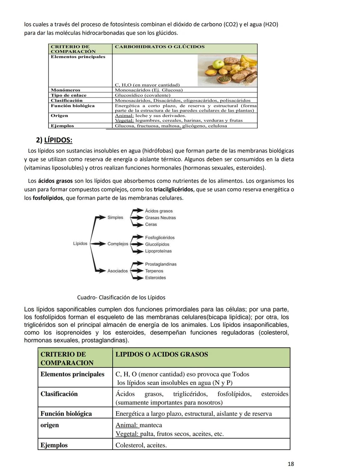PROGRAMA ANUAL-2024-
ESPACIO CURRICULAR: BIOLOGÍA II
PROFESORA:
CURSO: 4º año DIVISIÓN: CIENCIAS NATURALES
PROGRAMA DE ESTUDIOS DE BIOLO