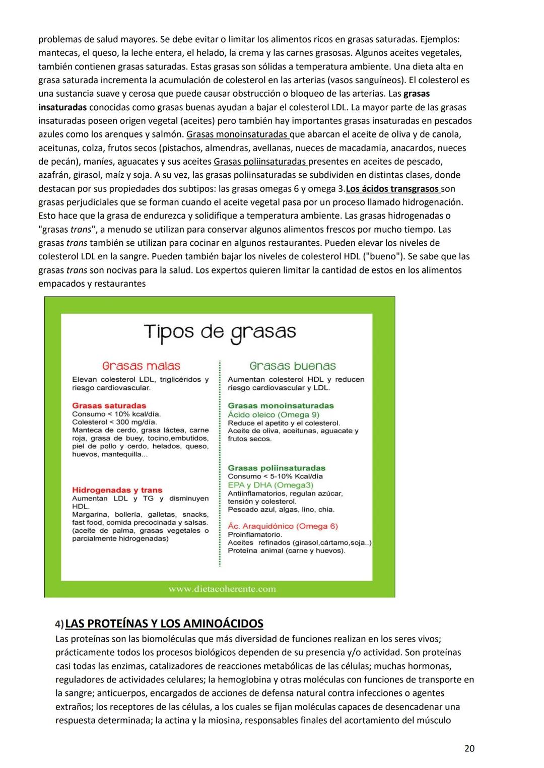 PROGRAMA ANUAL-2024-
ESPACIO CURRICULAR: BIOLOGÍA II
PROFESORA:
CURSO: 4º año DIVISIÓN: CIENCIAS NATURALES
PROGRAMA DE ESTUDIOS DE BIOLO